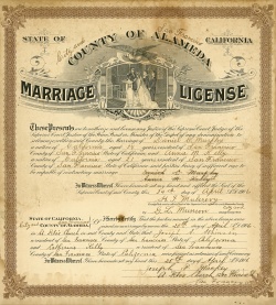 IMAGE: Marriage Certificate for Daniel C. Murphy and Annie Kelly, 25 April 1906.